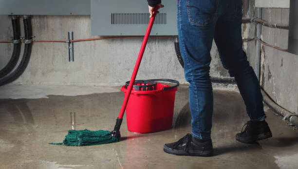 Best Residential water damage restoration  in Clive, IA