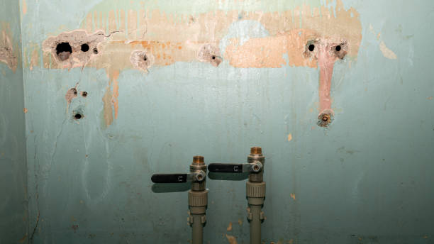  Clive, IA Water damage restoration Pros